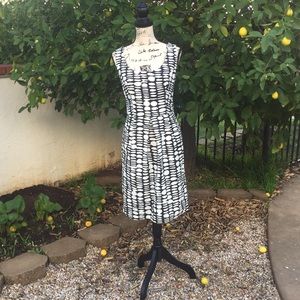 Ann Taylor Navy & White Dress Size 12